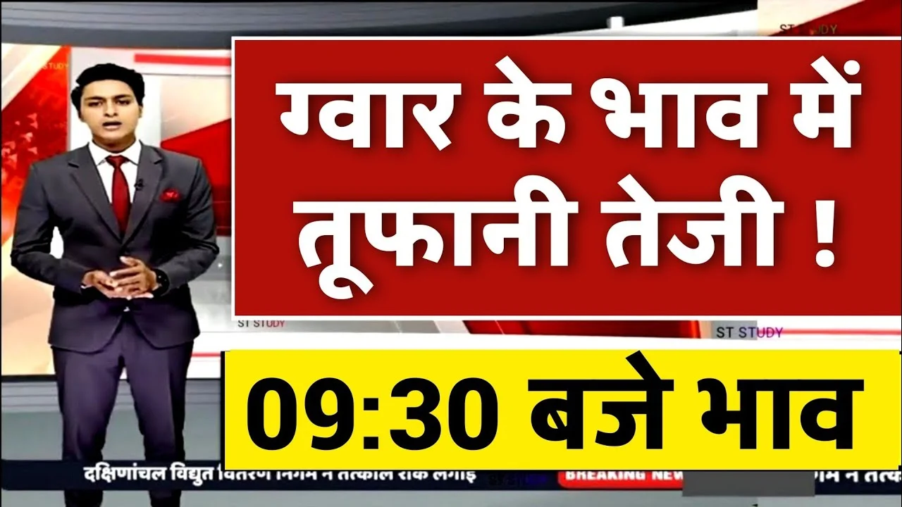 Guar Mandi Taza Bhav Today